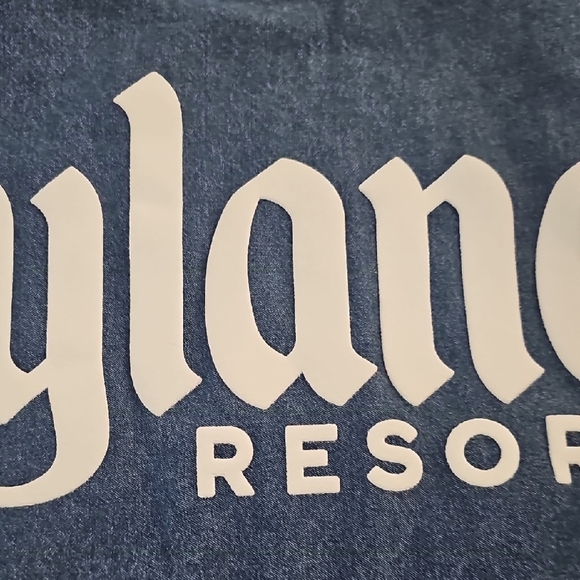 Disneyland Denim Hoodie Spirit Jersey - Picture 8 of 12